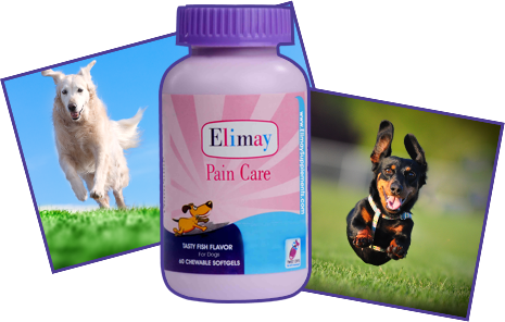 Picture of two dogs and Elimay Pain Care bottle with a transparent background